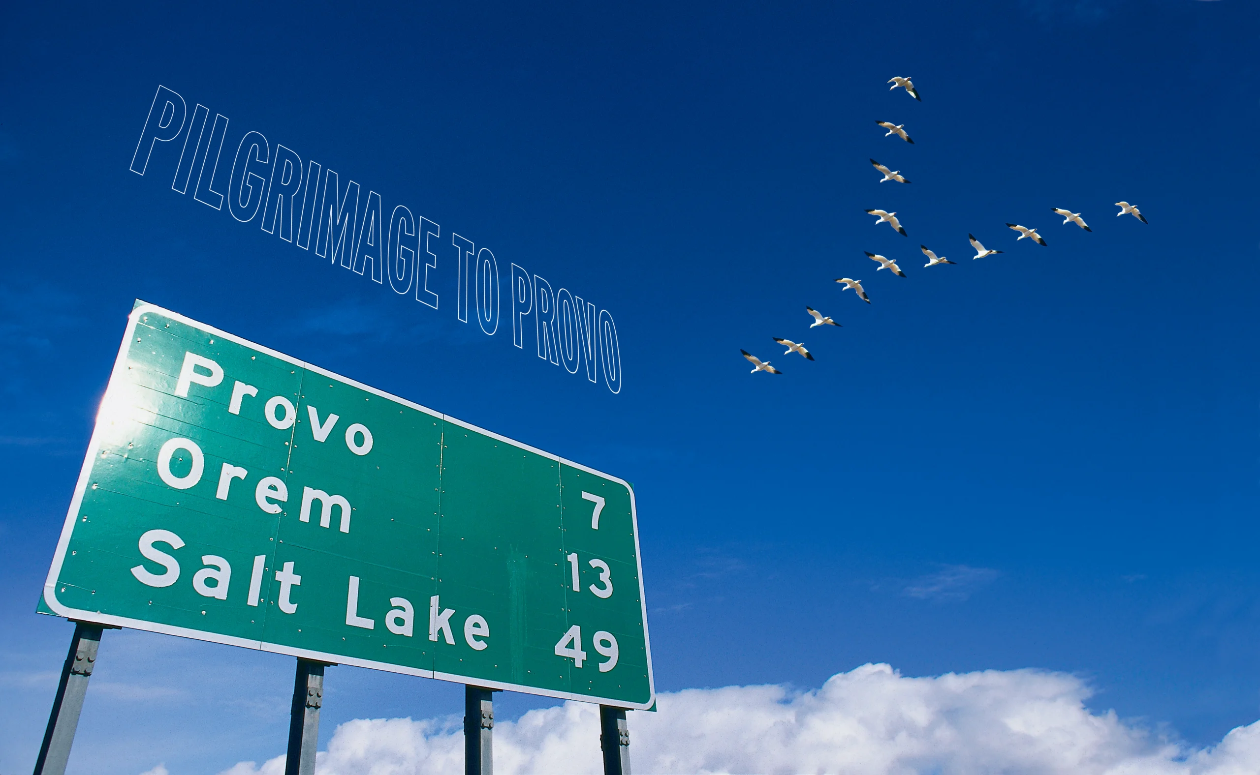 Green highway sign pointing toward Provo, Orem, and Salt Lake beneath the title “Pilgrimage to Provo.”
Page 39: A flock of white birds flies in a broad curved formation across a deep blue sky above white clouds.