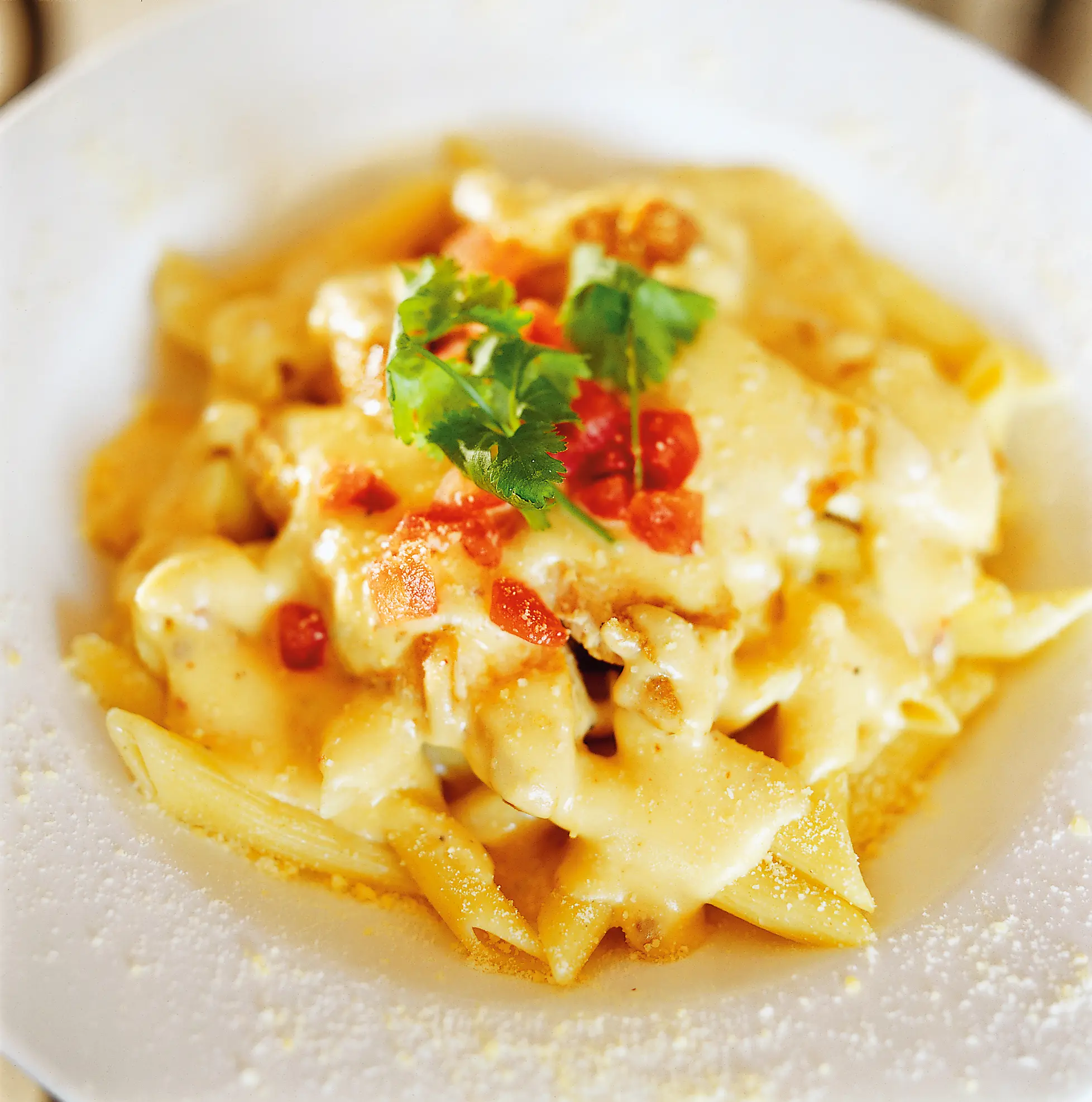 Plate of grilled chicken and penne pasta covered in a creamy southwestern sauce and garnished with diced tomatoes and cilantro.