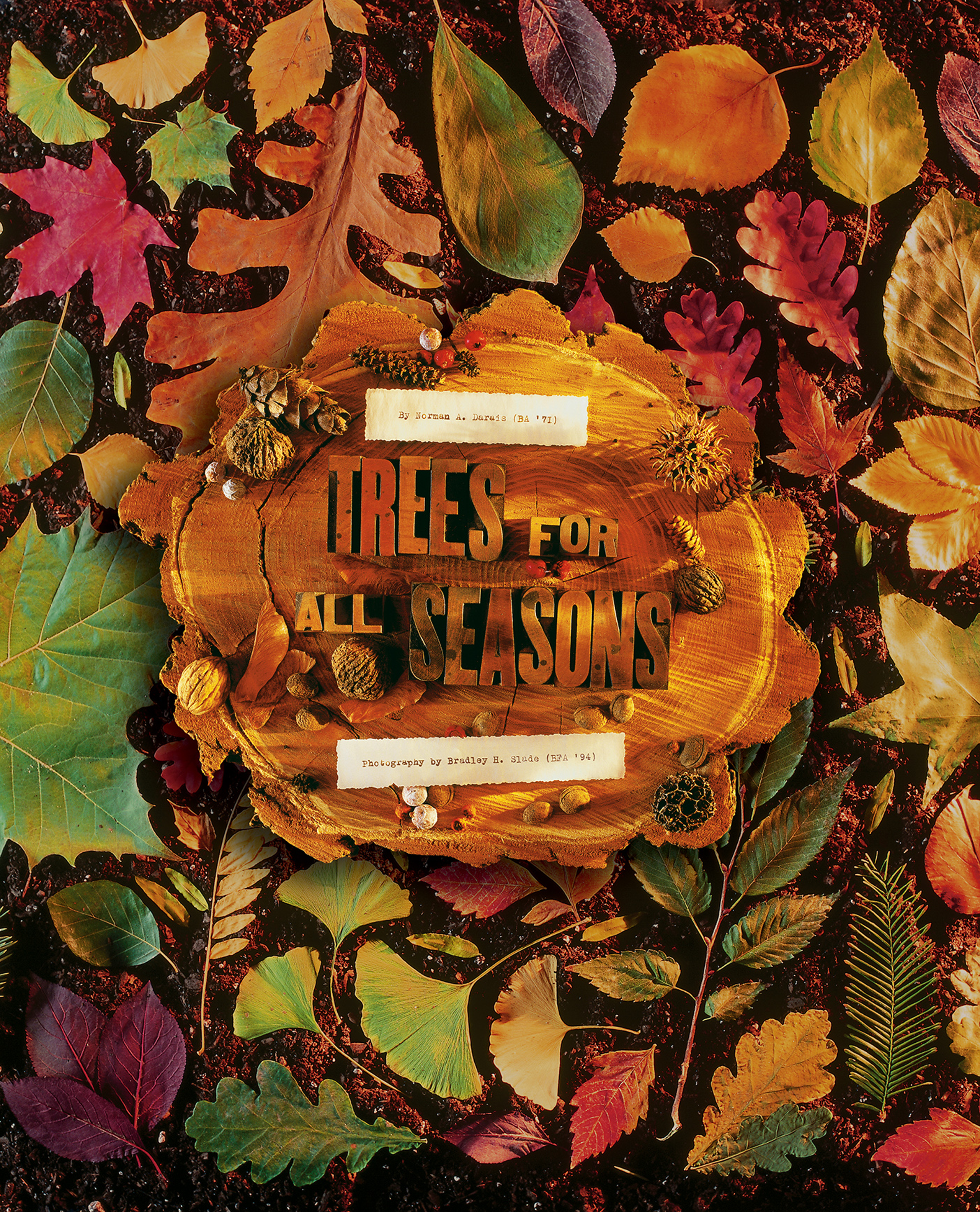 Title art with leaves surrounding a tree stump that reads, "Trees For All Seasons."