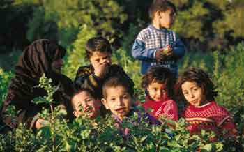 children in orchard