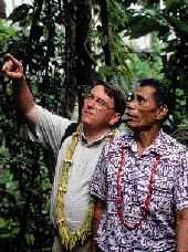 chief and professor in forest