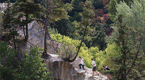 hiking slopes a history lesson in tree rings Hiking by Mark Philbrick, Rings by Bradley Slade