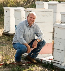 Colin Henderson and his University of Montana colleagues have turned pests into partners, training bees to locate buried land mines. 