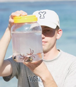 A student looks at a small crab