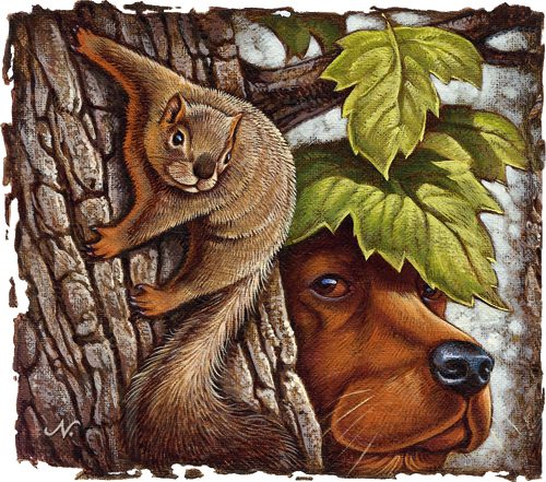 Squirrel and a dog