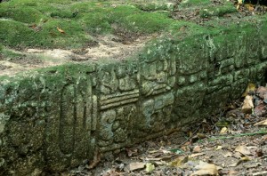 Mayan carvings