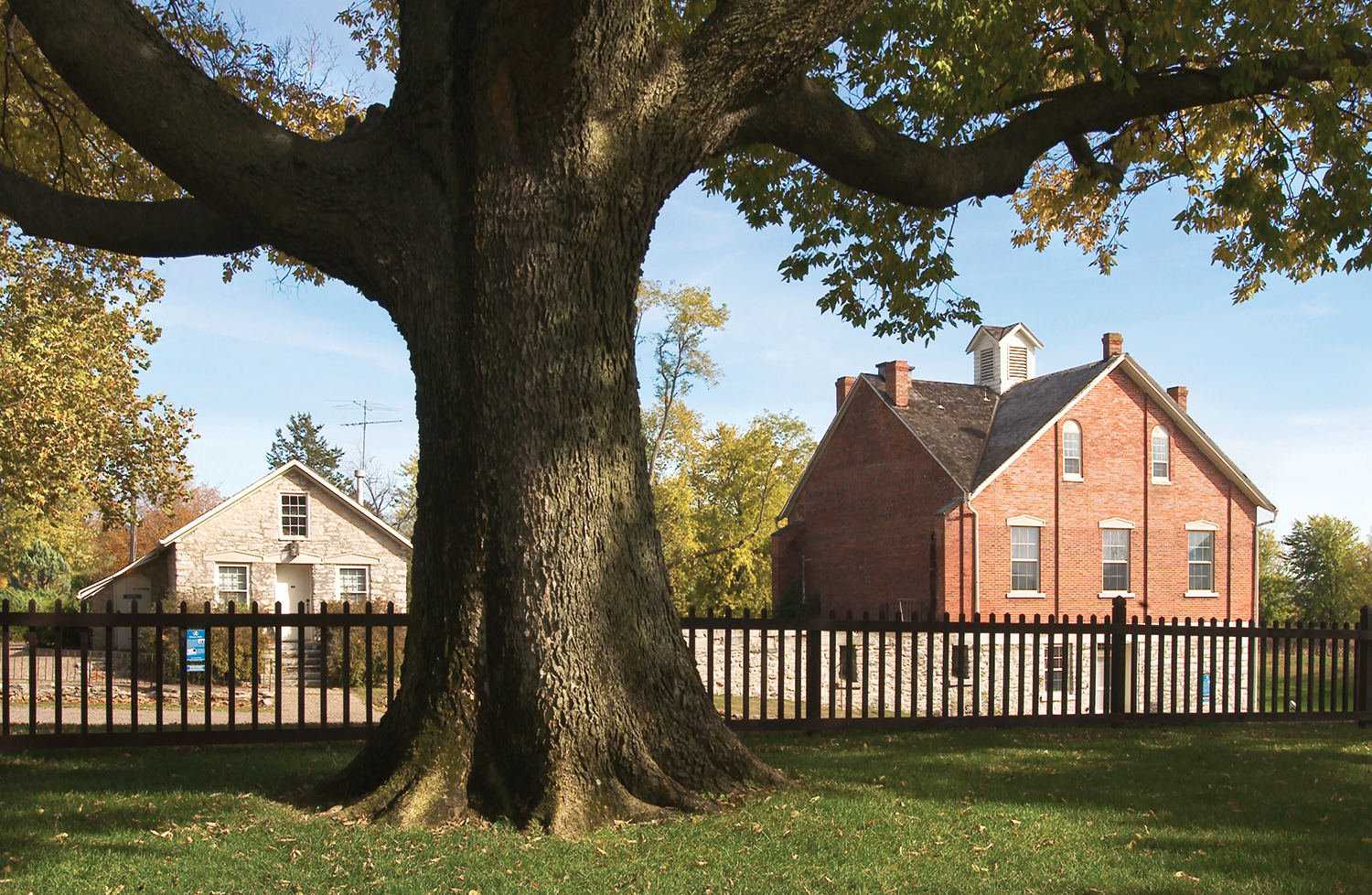 A large tree, a gate, and the Nuavoo House.