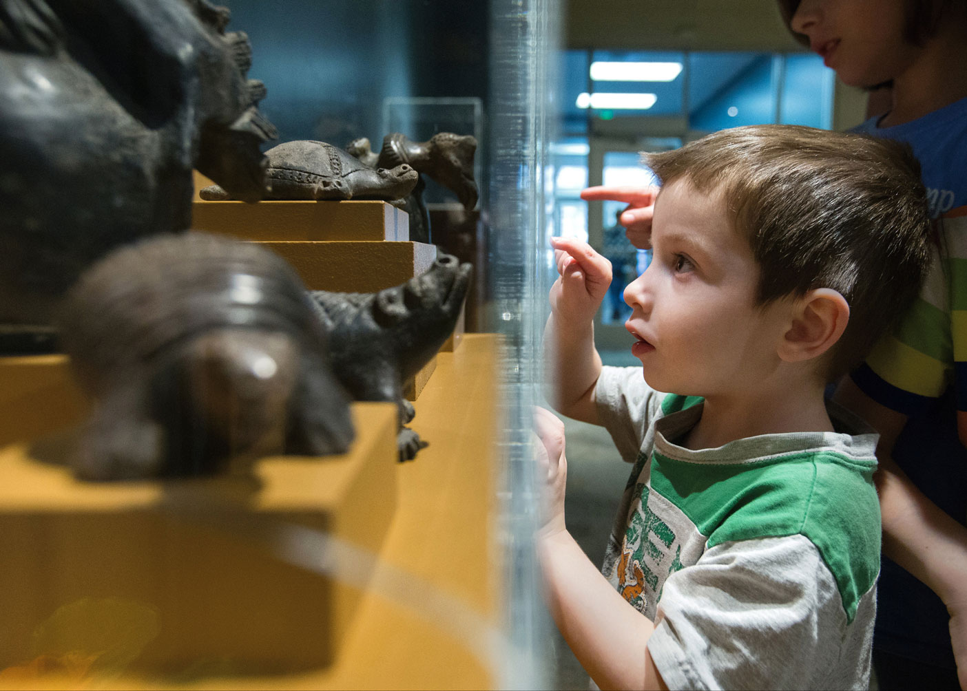 A child looks through the glass of an exhibit at a sculpture of a turtle