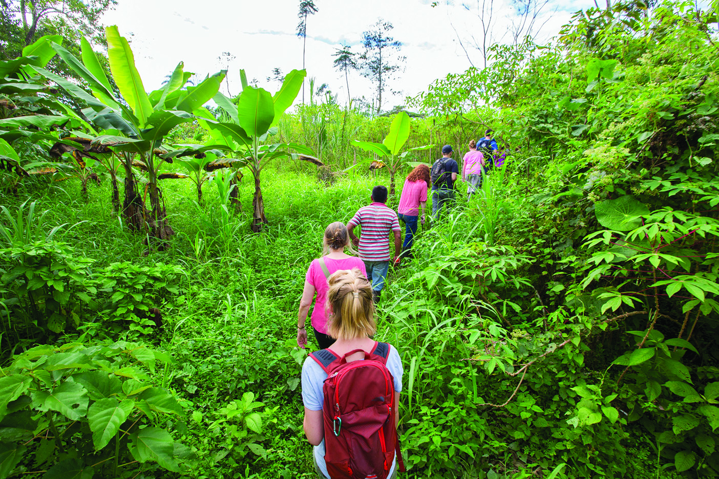In a line, students hike up a trail in the Amazon