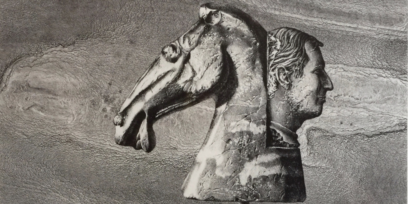 Picture of a horse head and a man's head.