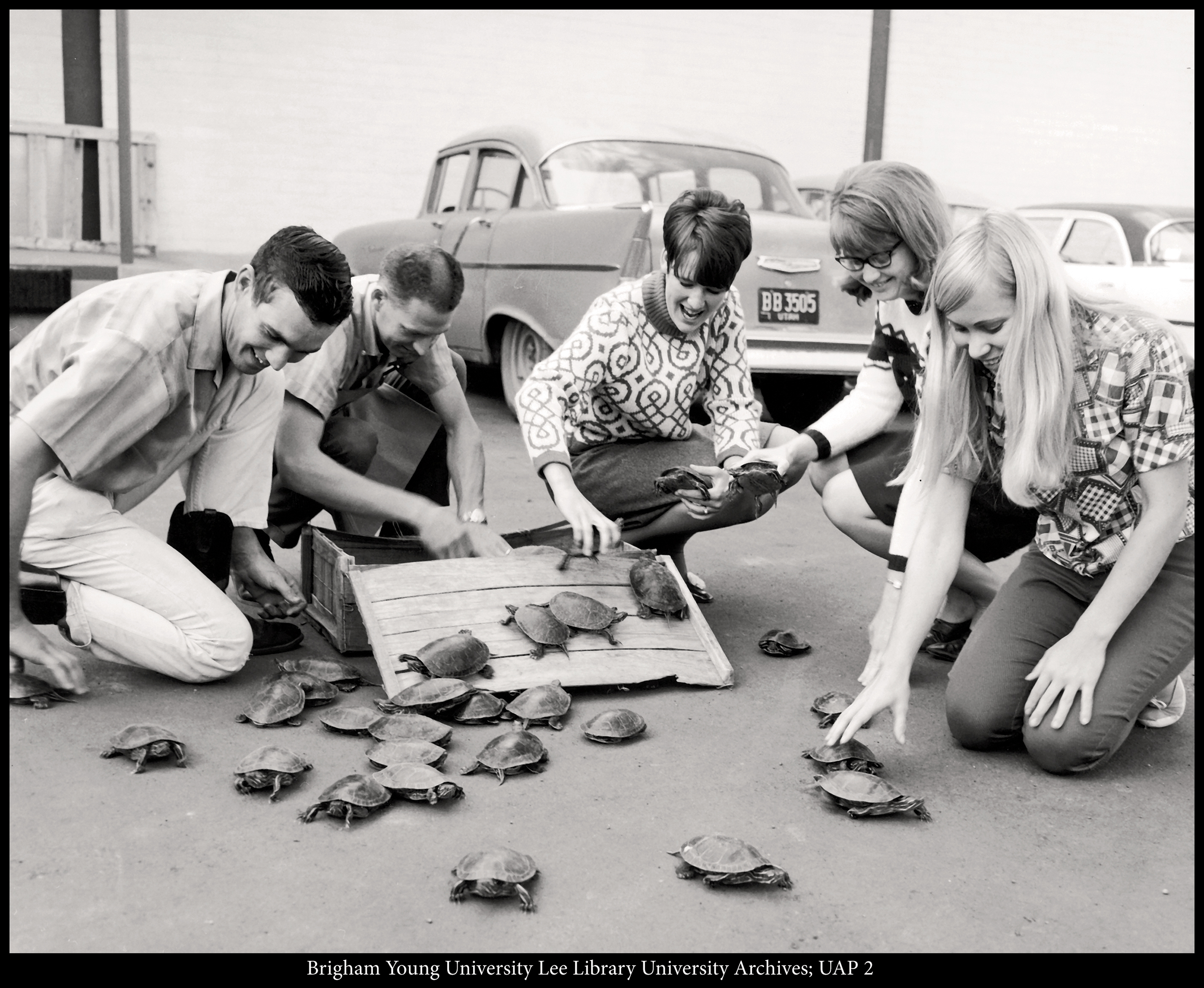 Students unpack the contestants for the 1968 “Turtle Trot,” a regular feature of the era’s Homecoming celebrations.