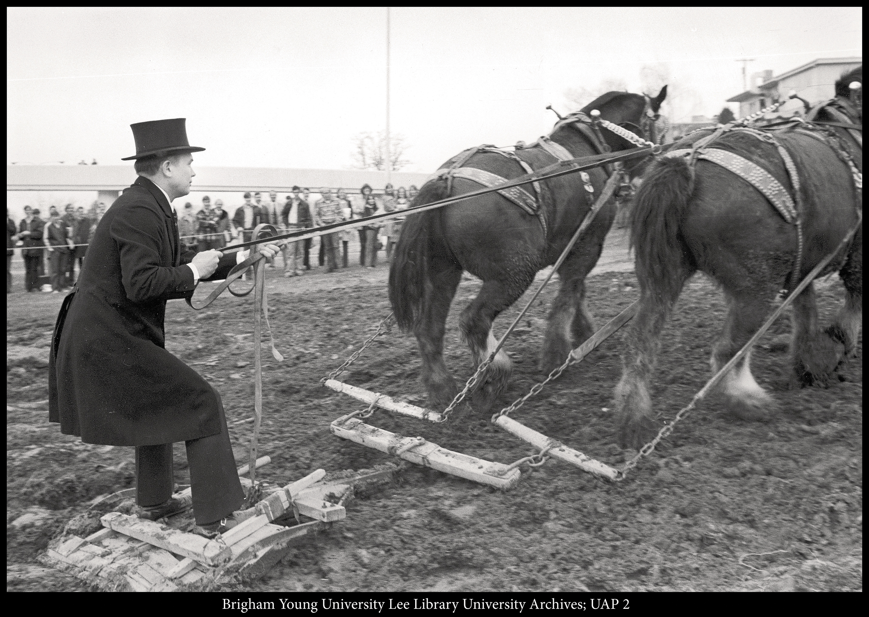Dressed in 19th-century costume, President Dallin H. Oaks (BS ’54) rides a scraper behind a team of Clydesdales, helping break ground for the Centennial Carillon Tower on Feb. 13, 1975.