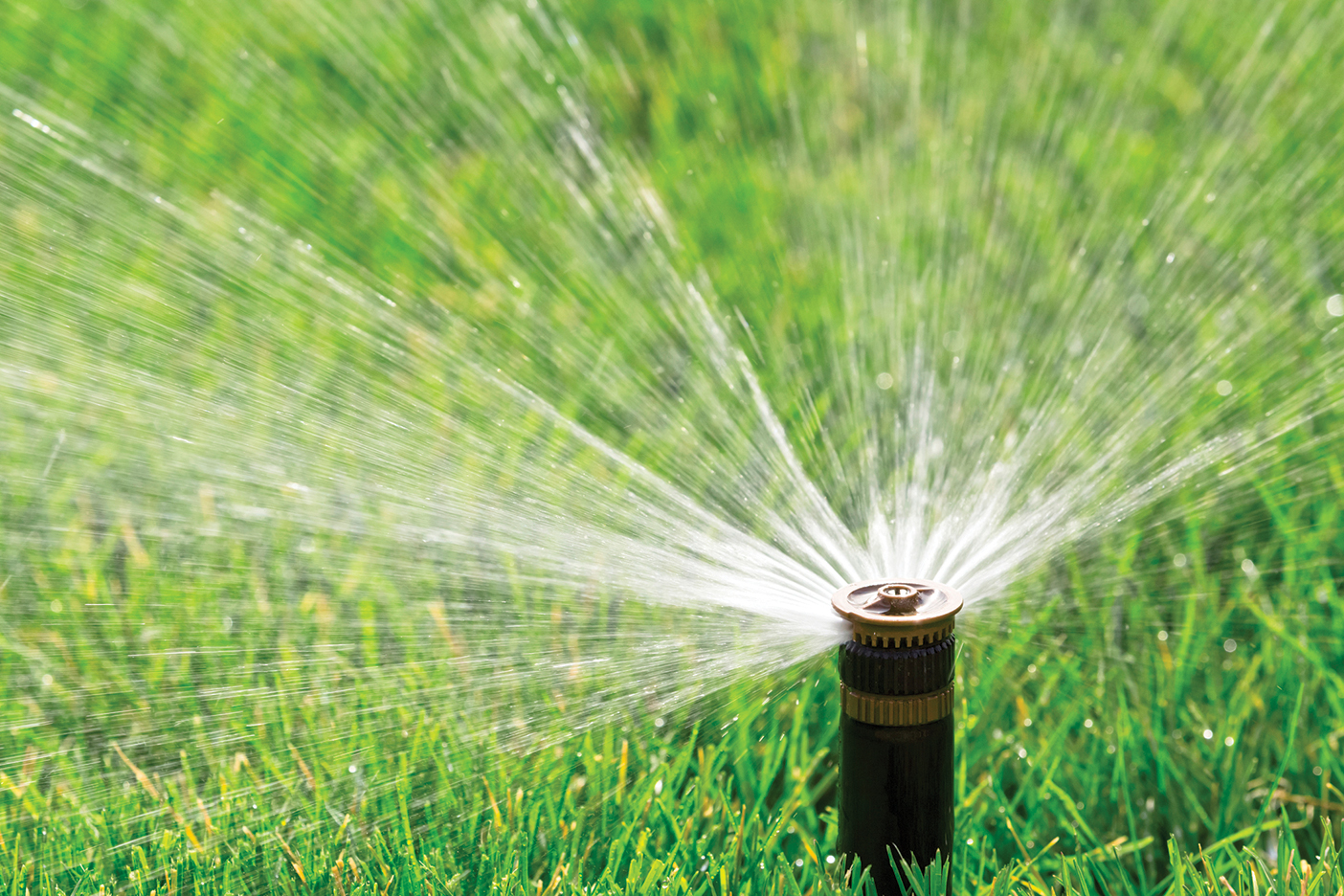 A tight shot of a sprinkler watering a lawn