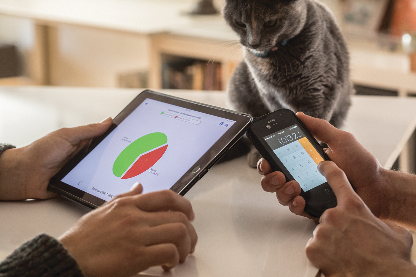 a screen showing a pie chart of finances