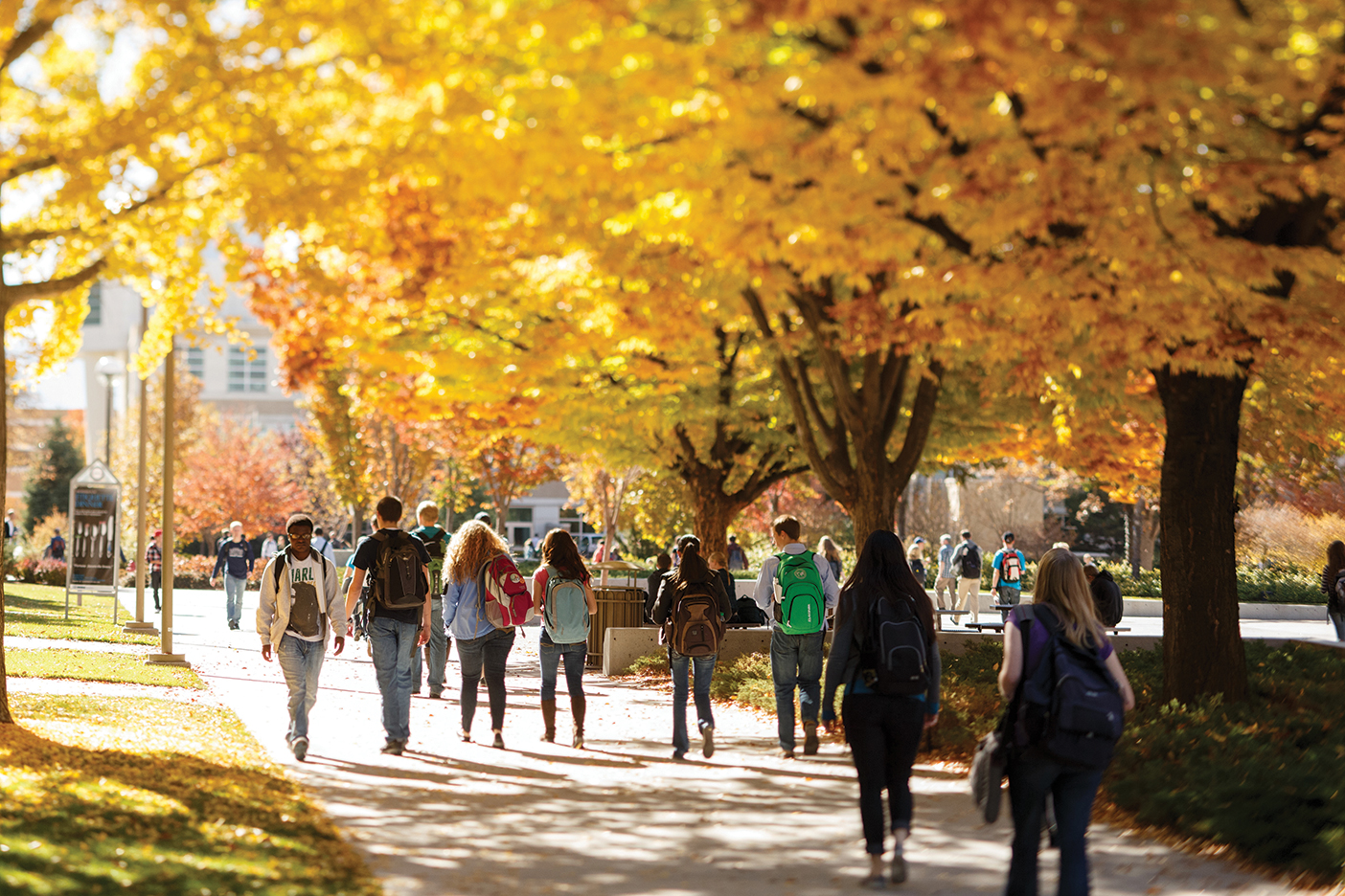 A picture of students walking on campus in the fall.