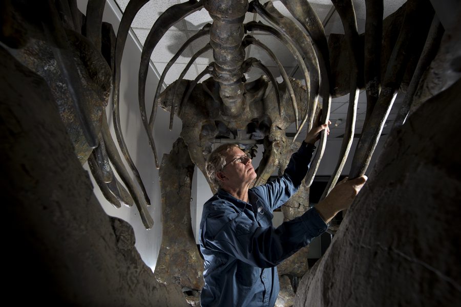 BYU Brooks Britt Unearths New Species Of Dinosaur: Moabosaurus