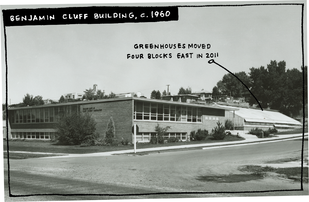 The Benjamin Cluff Building in 1960