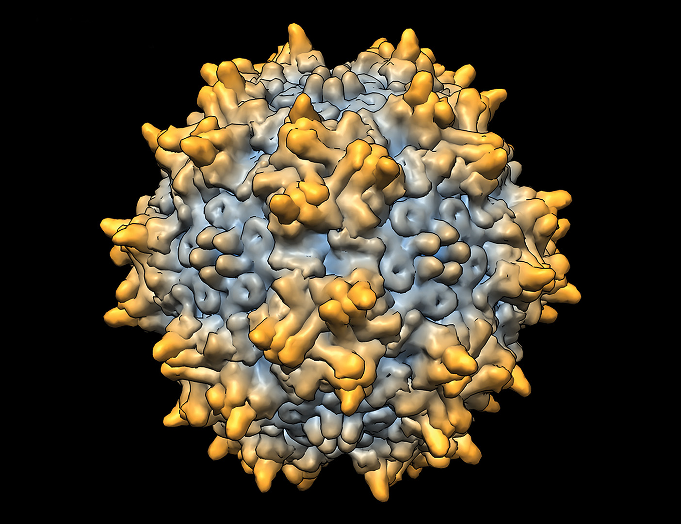 A computerized image of the AAV2 virus.