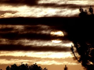 The 2012 transit of Venus.