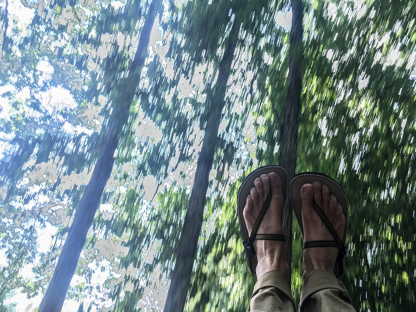 Feet of someone swinging amid trees.