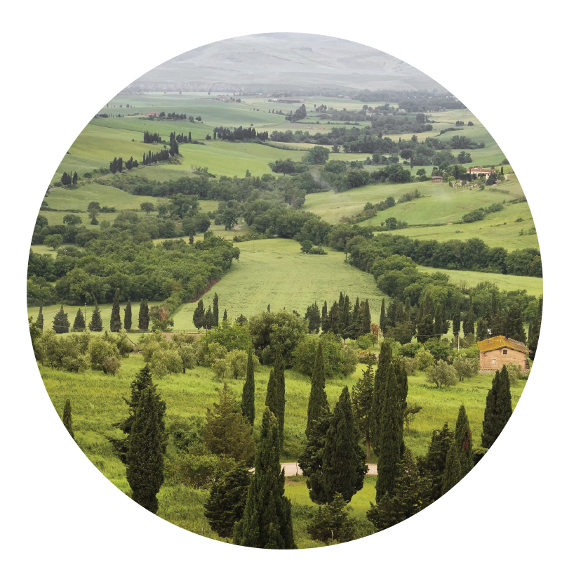An aerial shot of of the tuscan countryside with green grass and tall trees