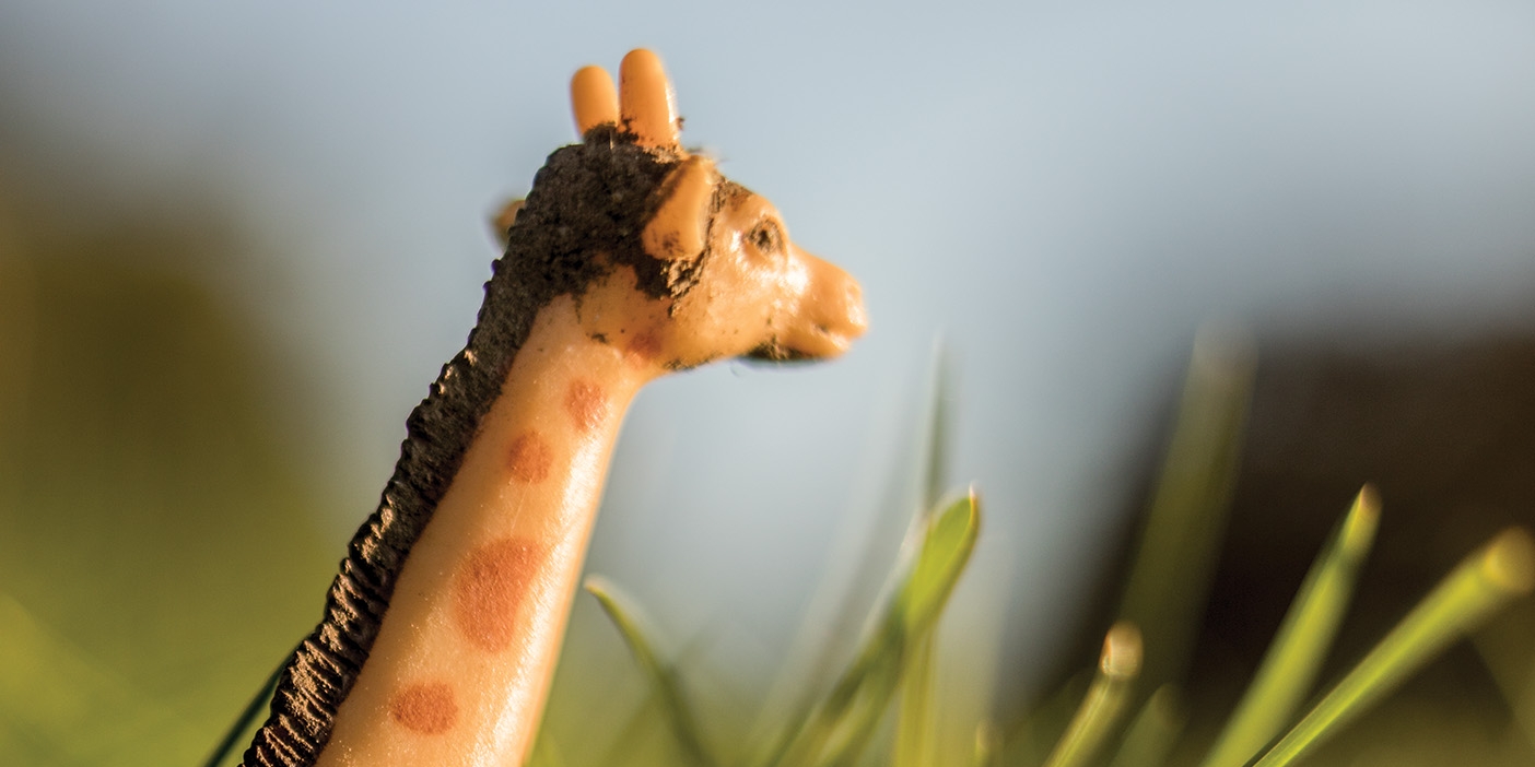 A toy giraffe in grass