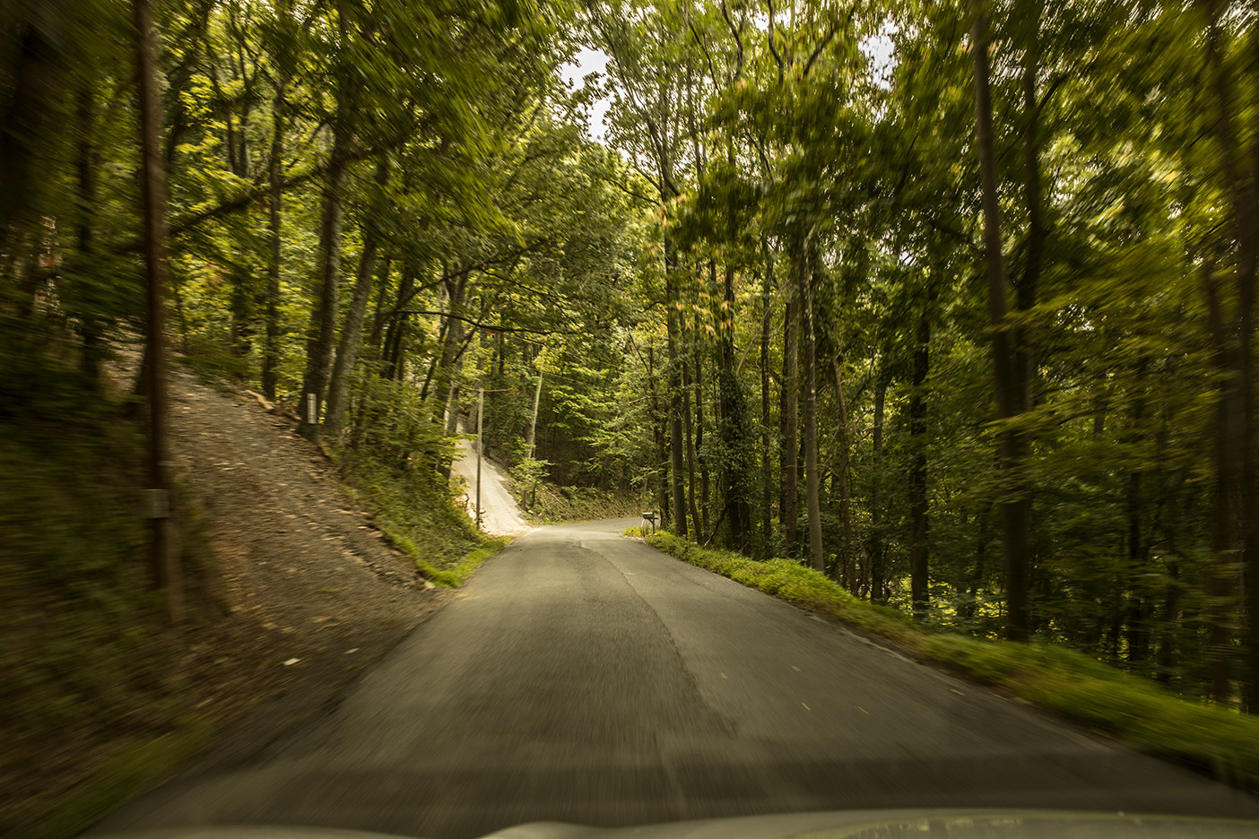 A wooded road in West Virginia.