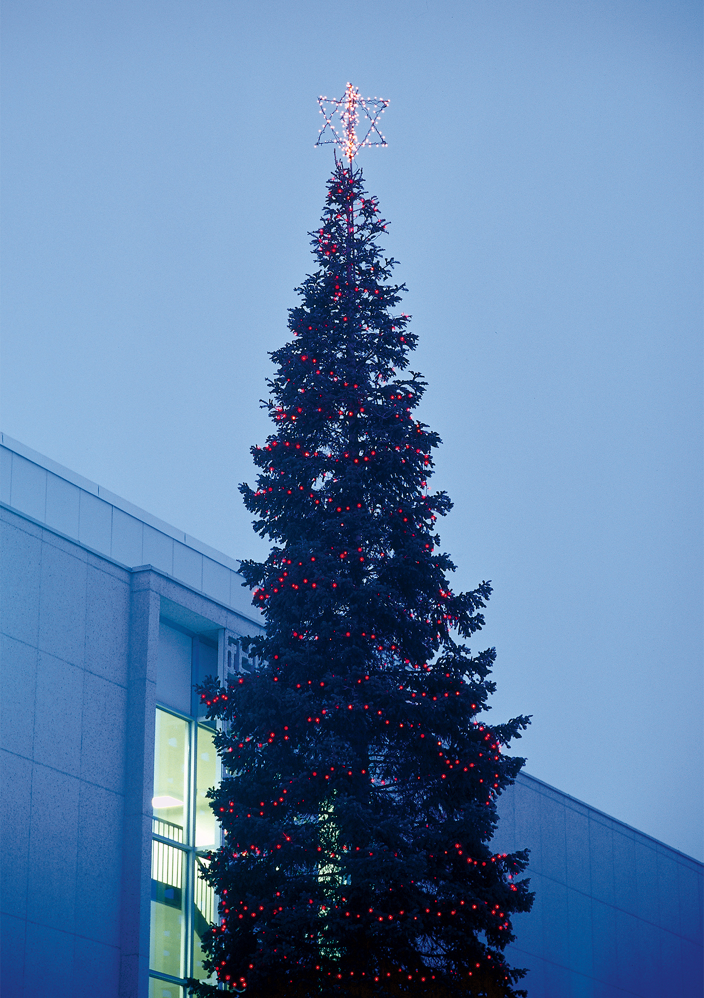 A decorated White Fir tree outside the BYU Harold B. Lee Library.