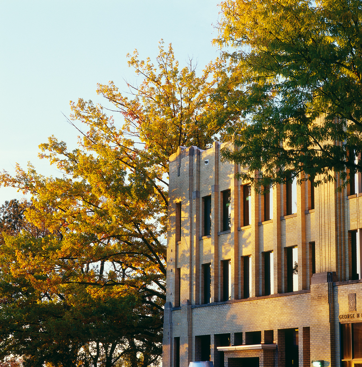 The George H. Brimhall building on BYU campus, surrounded by an English Oak tree.