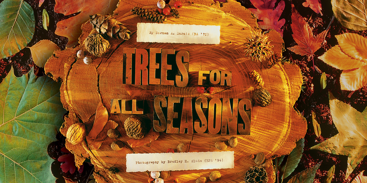 Title art with leaves surrounding a tree stump that reads, "Trees For All Seasons."