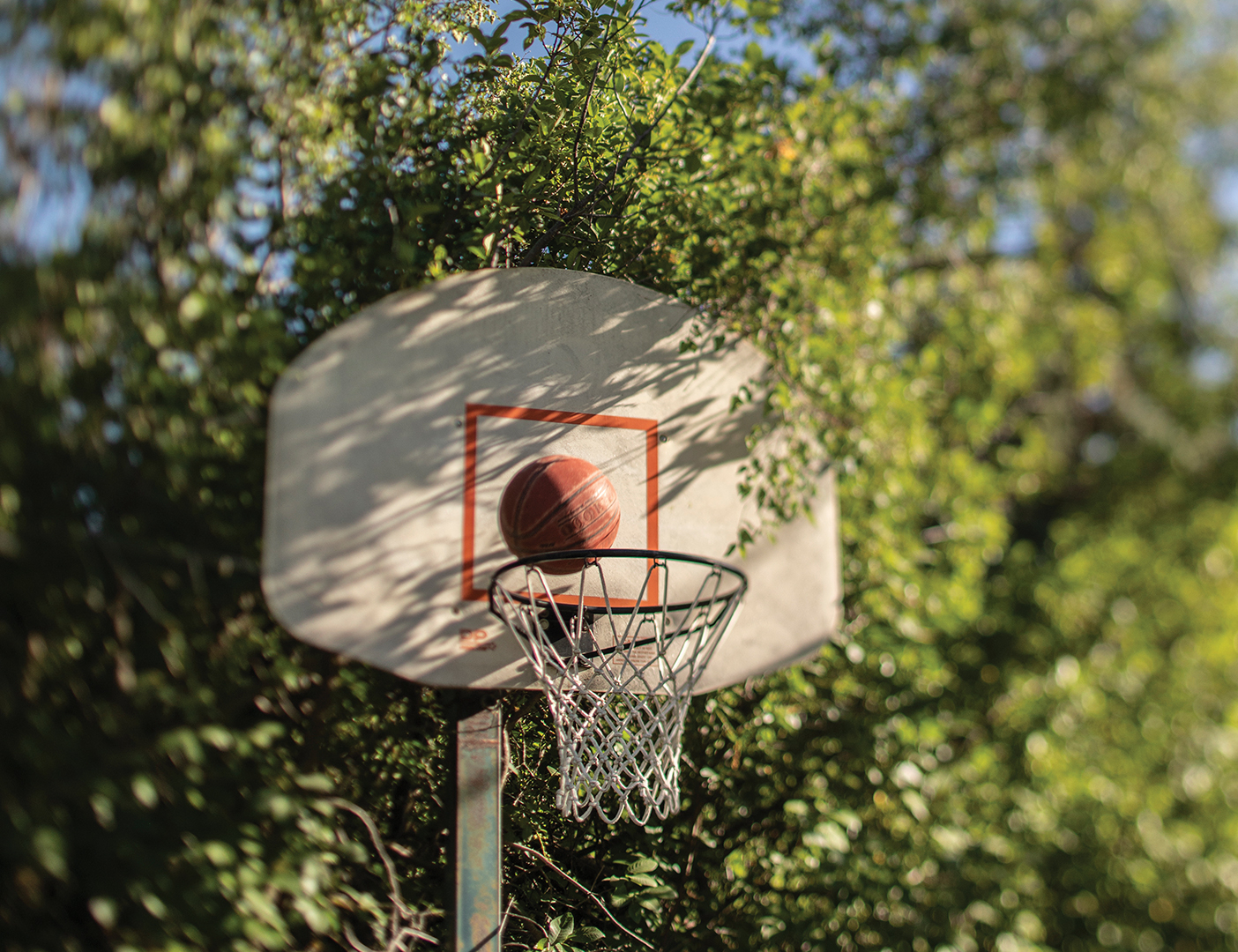 A basketball hovers just above a backboard in a wooded area.