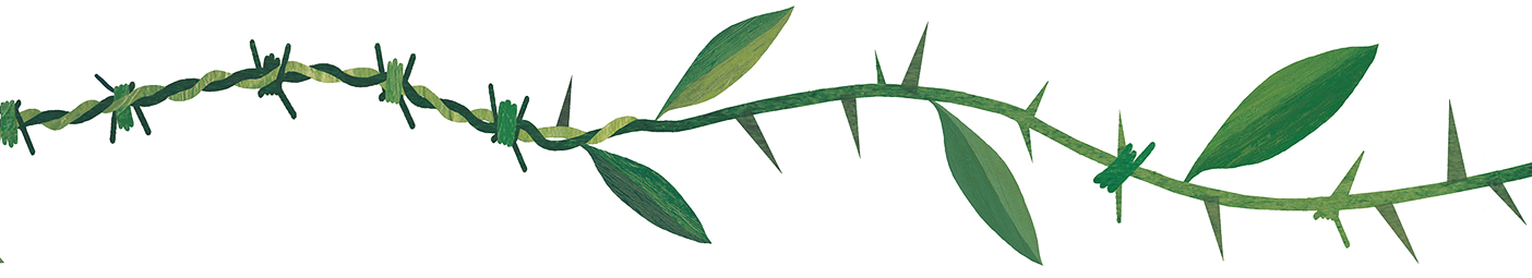 Illustration of green barbed wire entwining with a leafy stem.