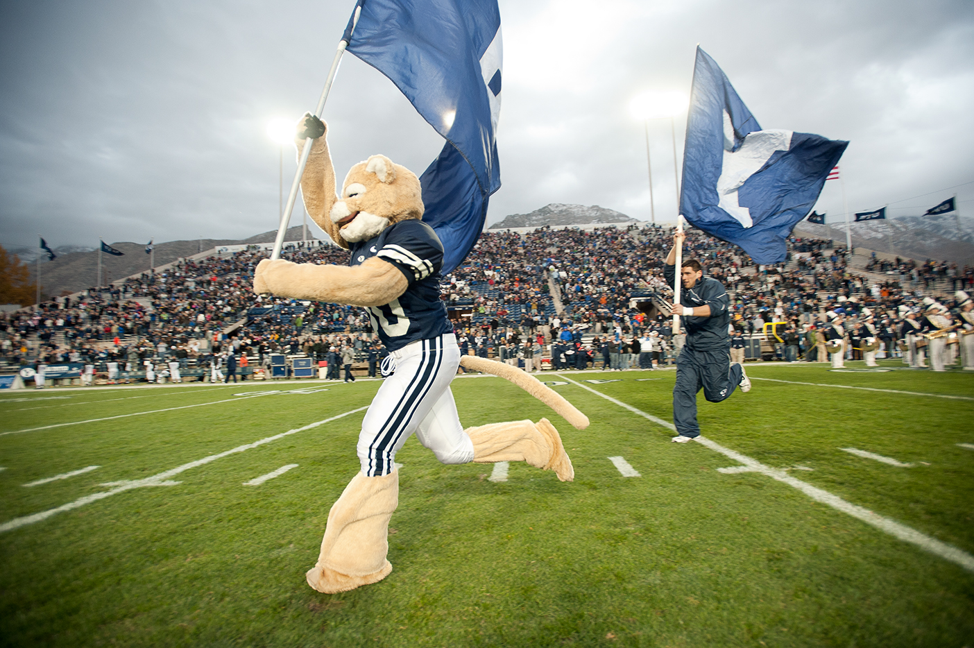 Cosmo carries one of the B-Y-U flags at a football game.