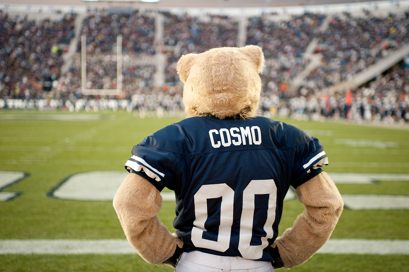 Cosmo watches a football game from the sidelines.