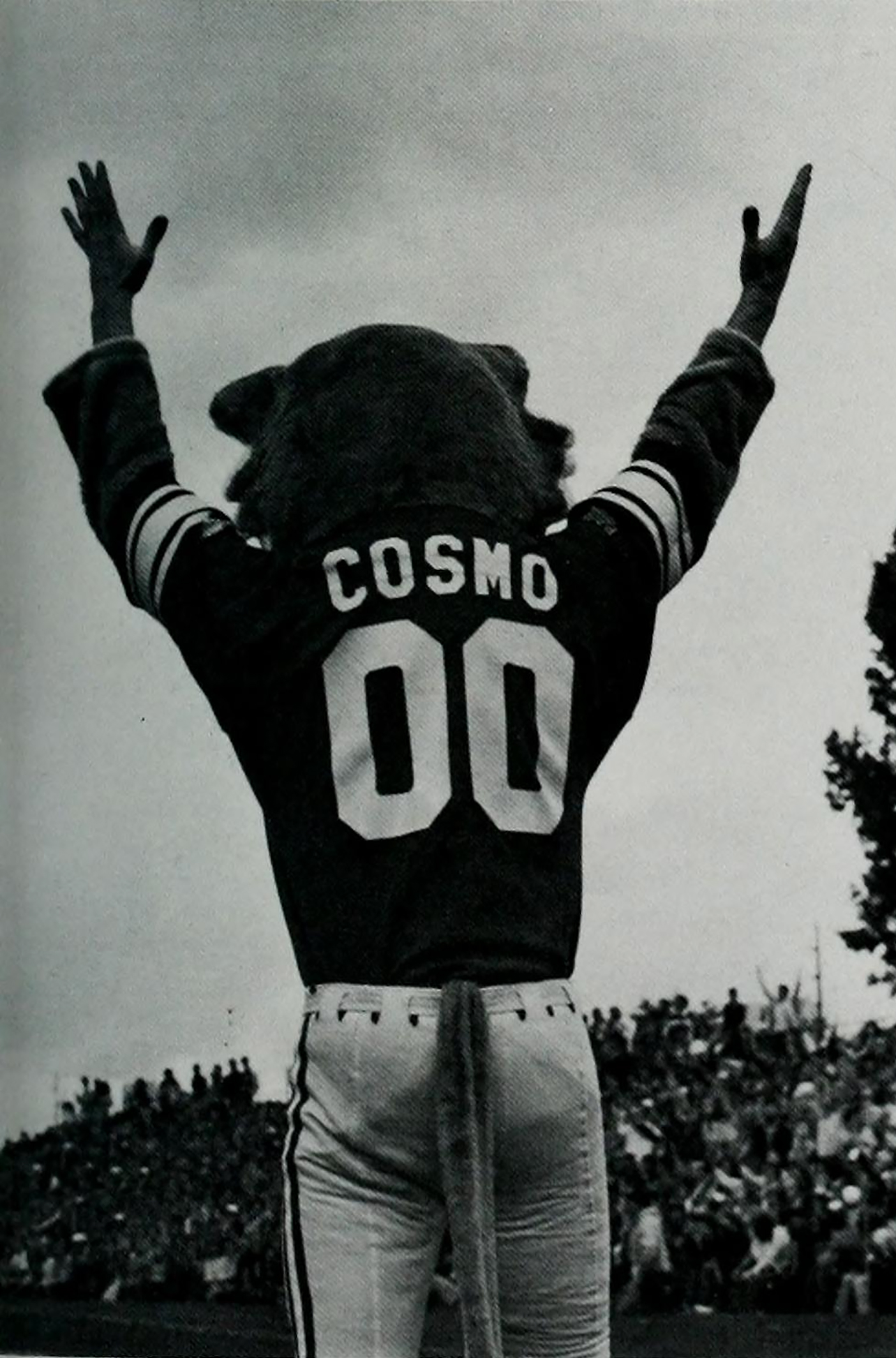 Cosmo stands at a football game with his hands above him in celebration.