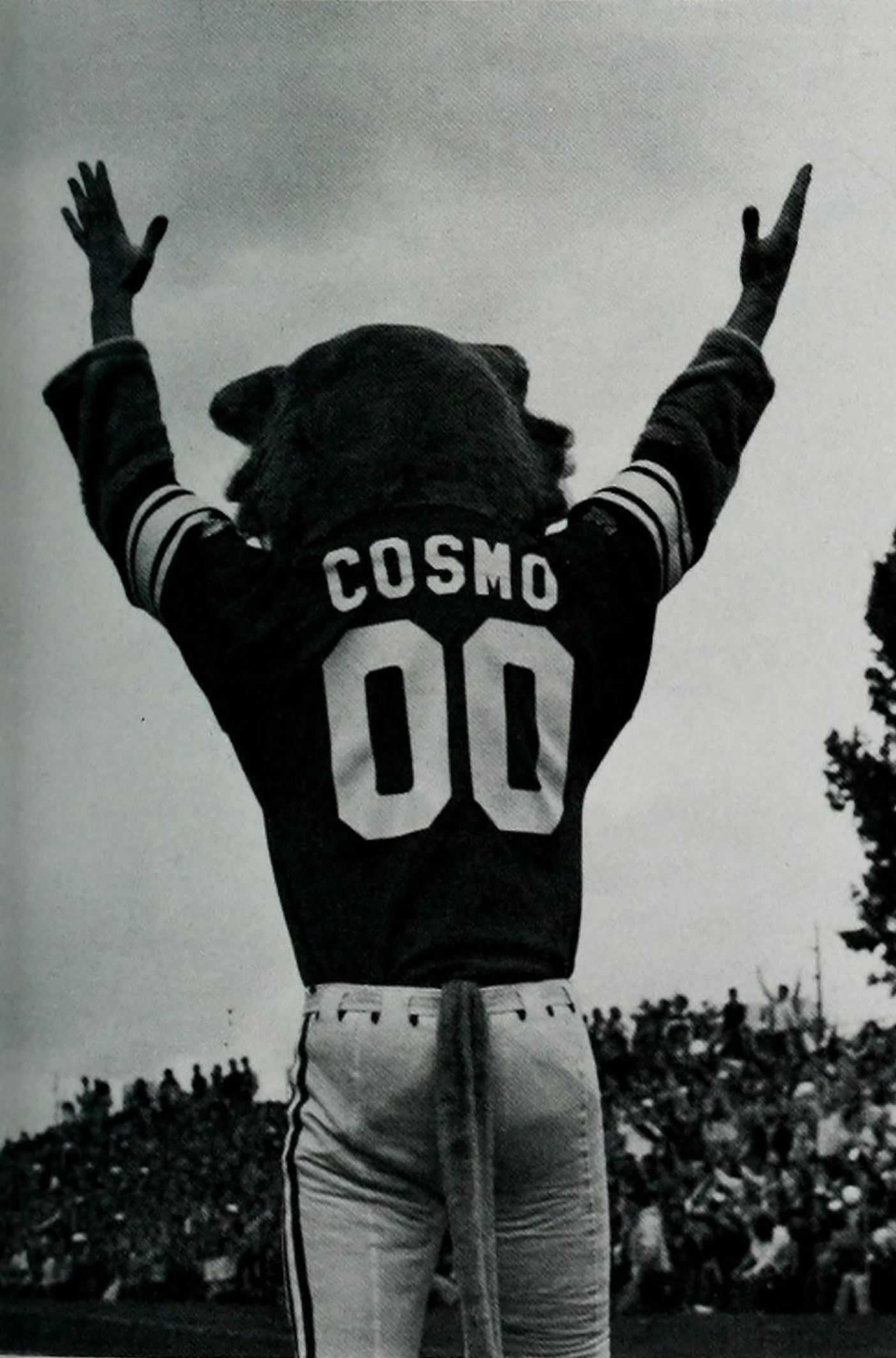 The History Of Team Mascots — The Culture Crush