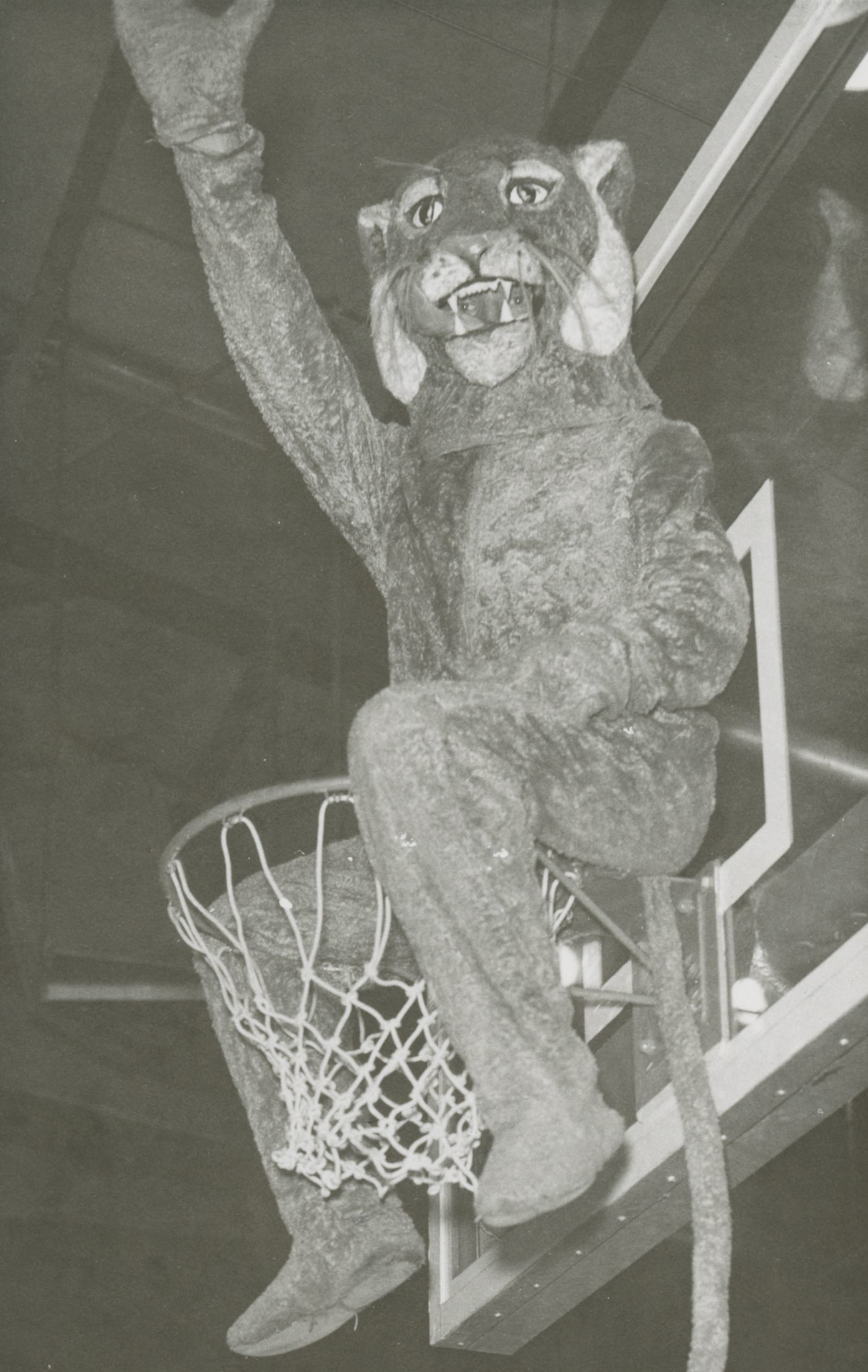 Cosmo sits atop the basketball basket, waving to the crowd.