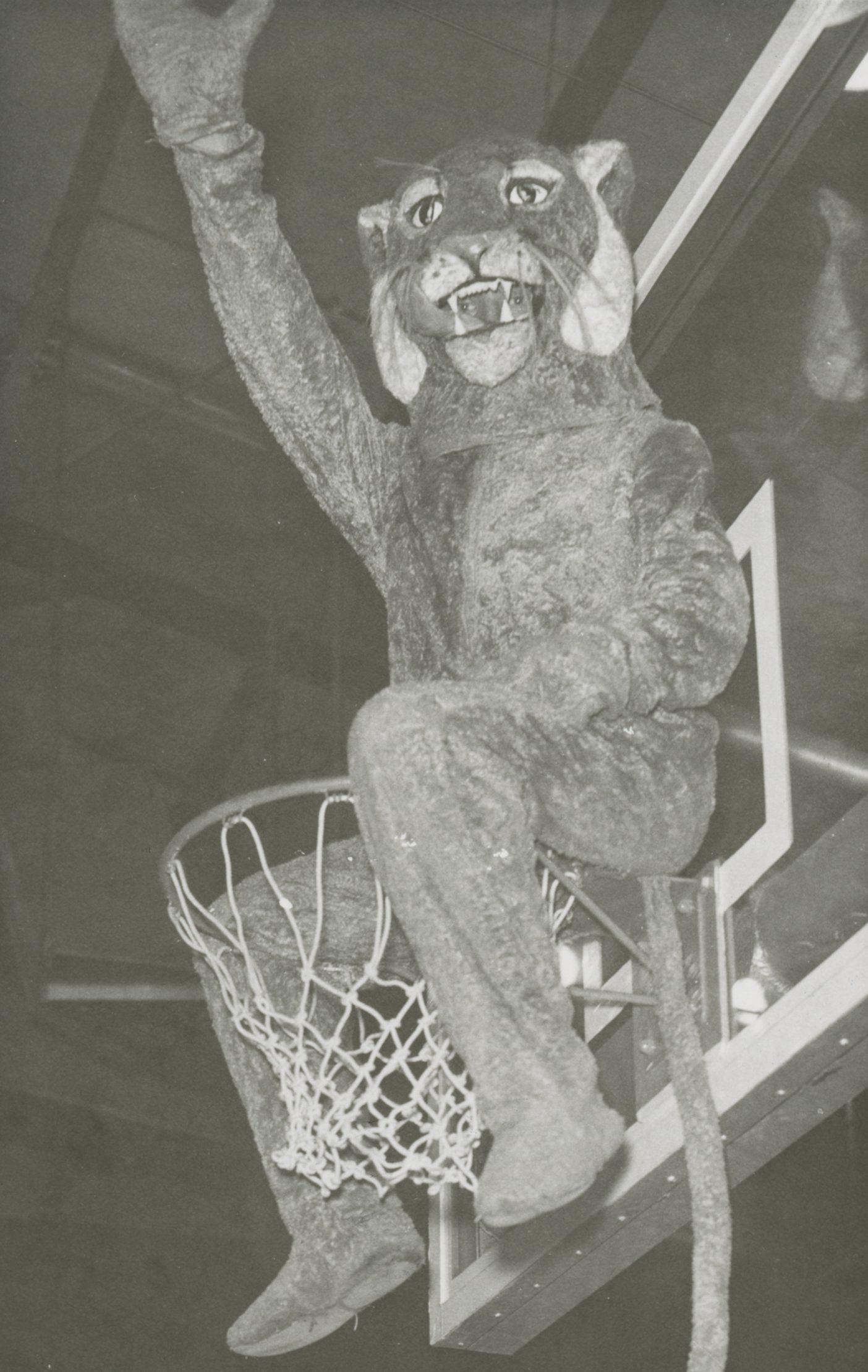 BYU mascot joins the dance team in a dance show