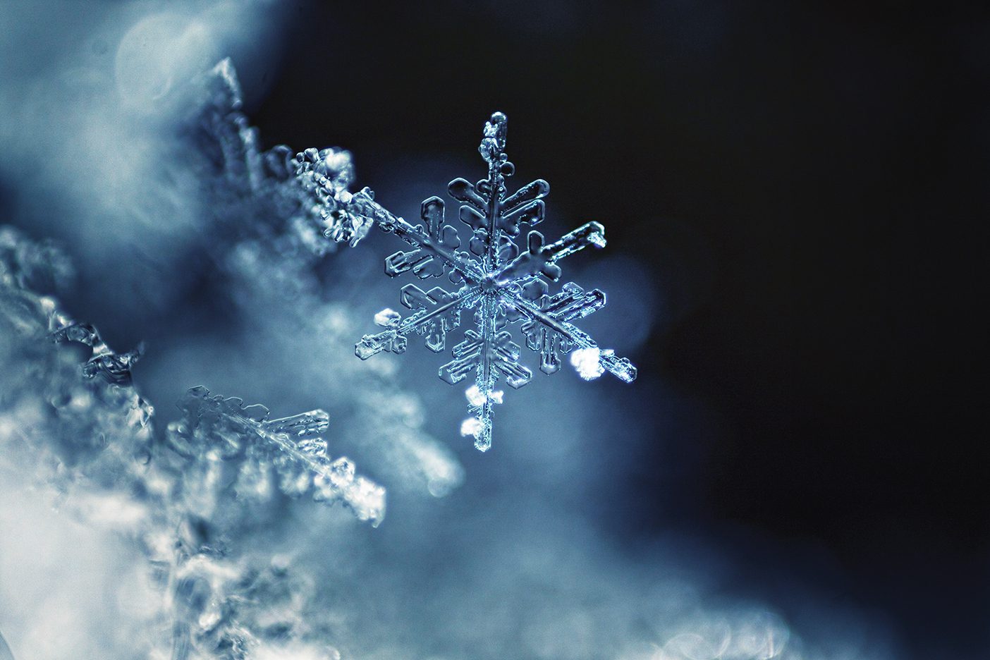 A close up shot of a few snowflakes