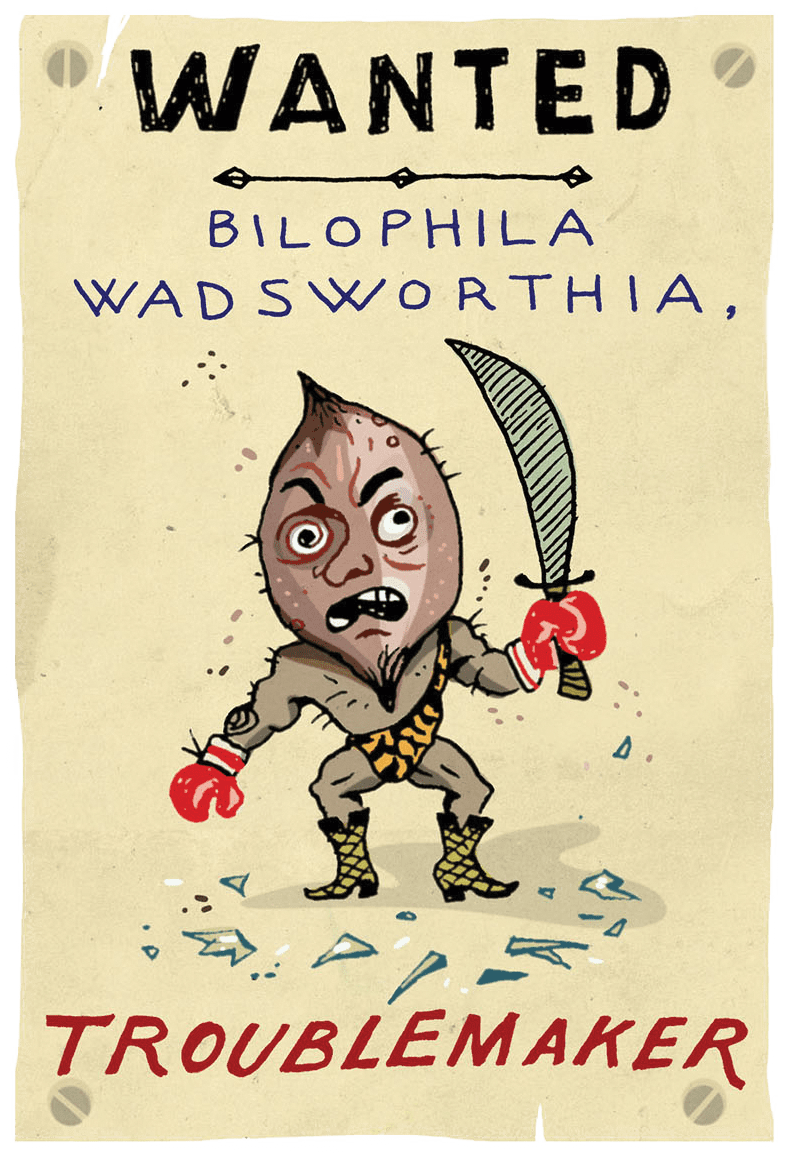 A poster of an anthropomorphic bacteria dressed like a boxer and holding a big sword, reads "Wanted Bilophila wadsworthia, troublemaker"
