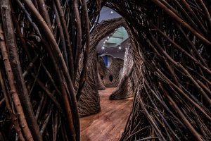 A winding sculpture maze made of willow saplings woven together meanders around a BYU Museum of Art exhibit.