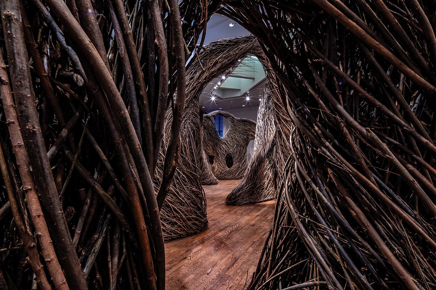 A winding sculpture maze made of willow saplings woven together meanders around a BYU Museum of Art exhibit.