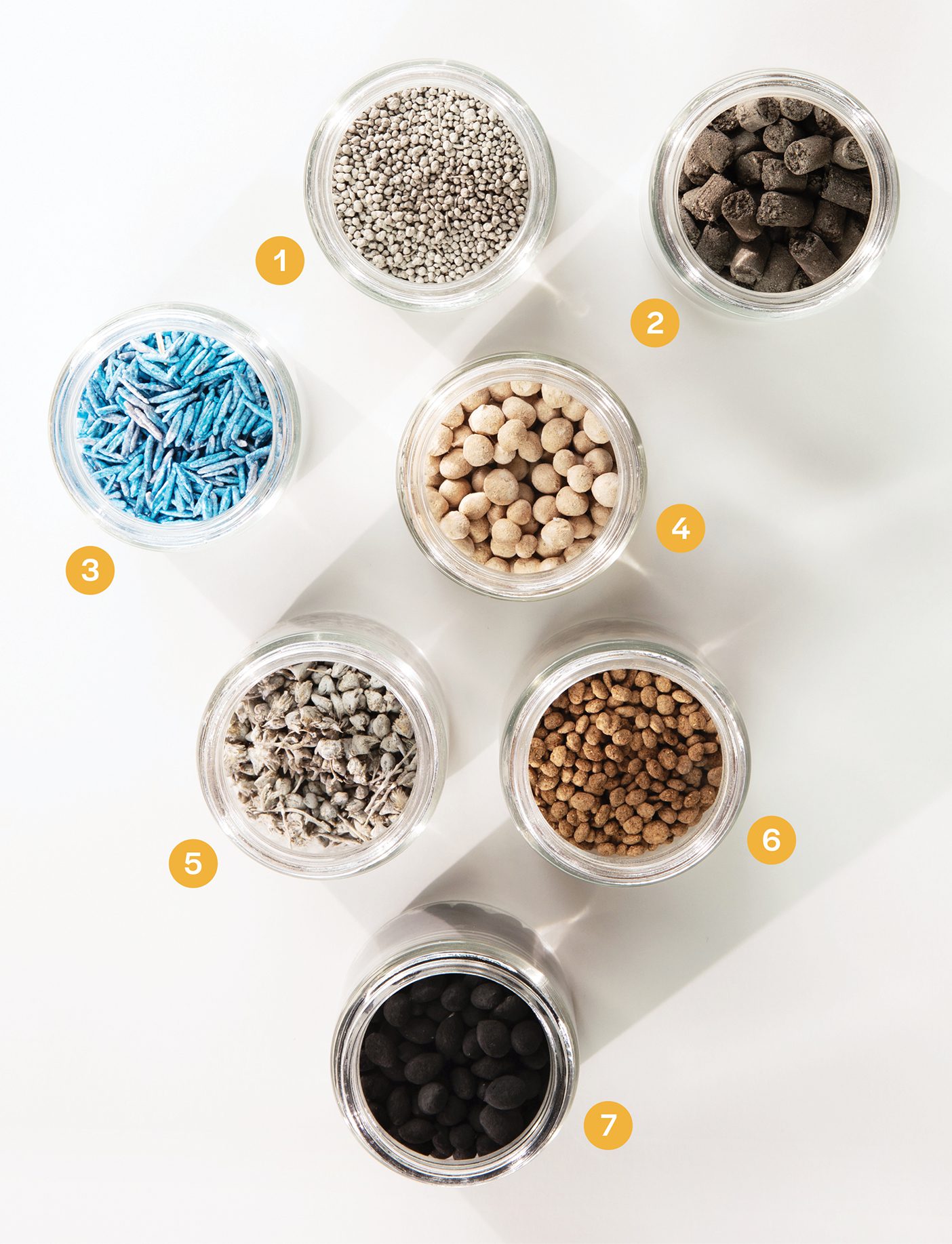 Image of jars with the six kinds of seeds in them and numbers to label them.