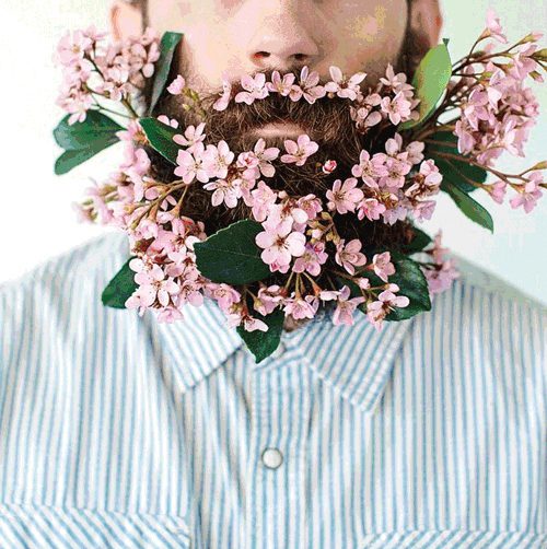 A portrait of a bearded man from the nose down with fake flowers stuck in his beard.
