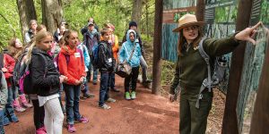 Glacier National Park ranger Teagan Tomlin teaches kids about cedar, hemlock, and black cottonwood trees along the Trail of the Cedars hike.