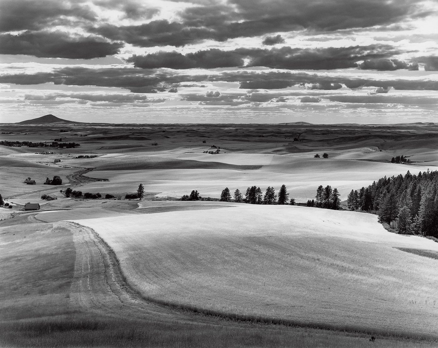 A large black and white image of the vast Palouse landscape.
