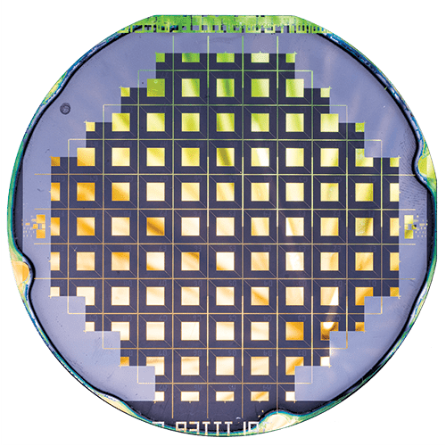 A microfluidic chip.