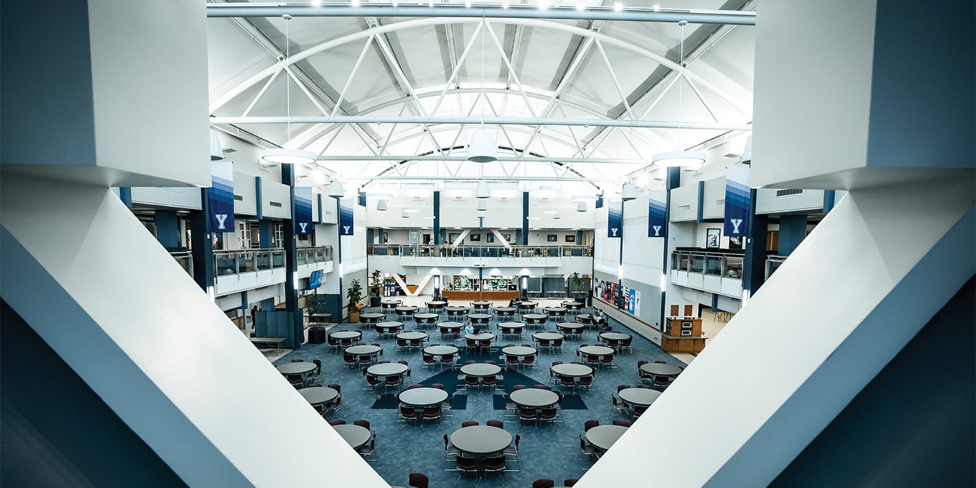 A view of the Wilkinson Terrace, looking down between the top of the two-story Y.