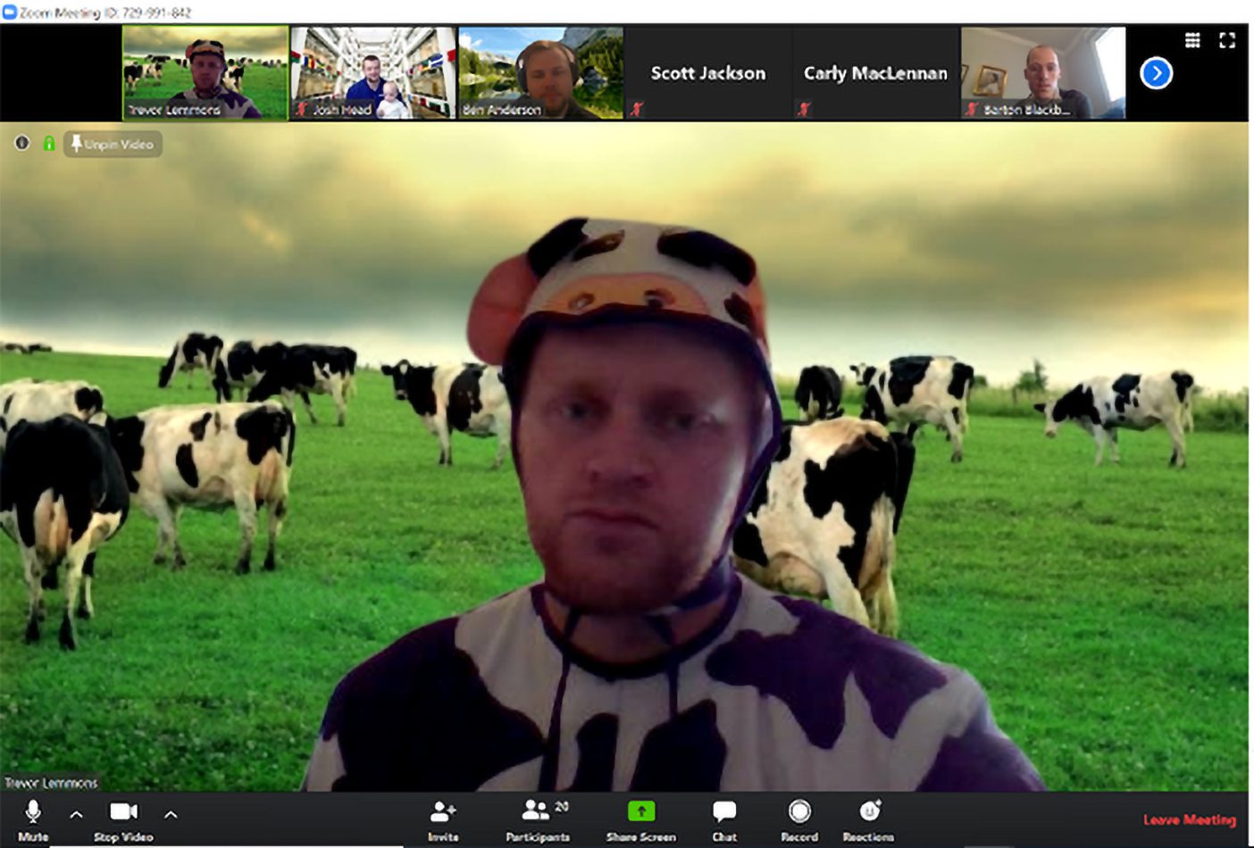 Trevor Lemmons dressed as a cow on a Zoom call.