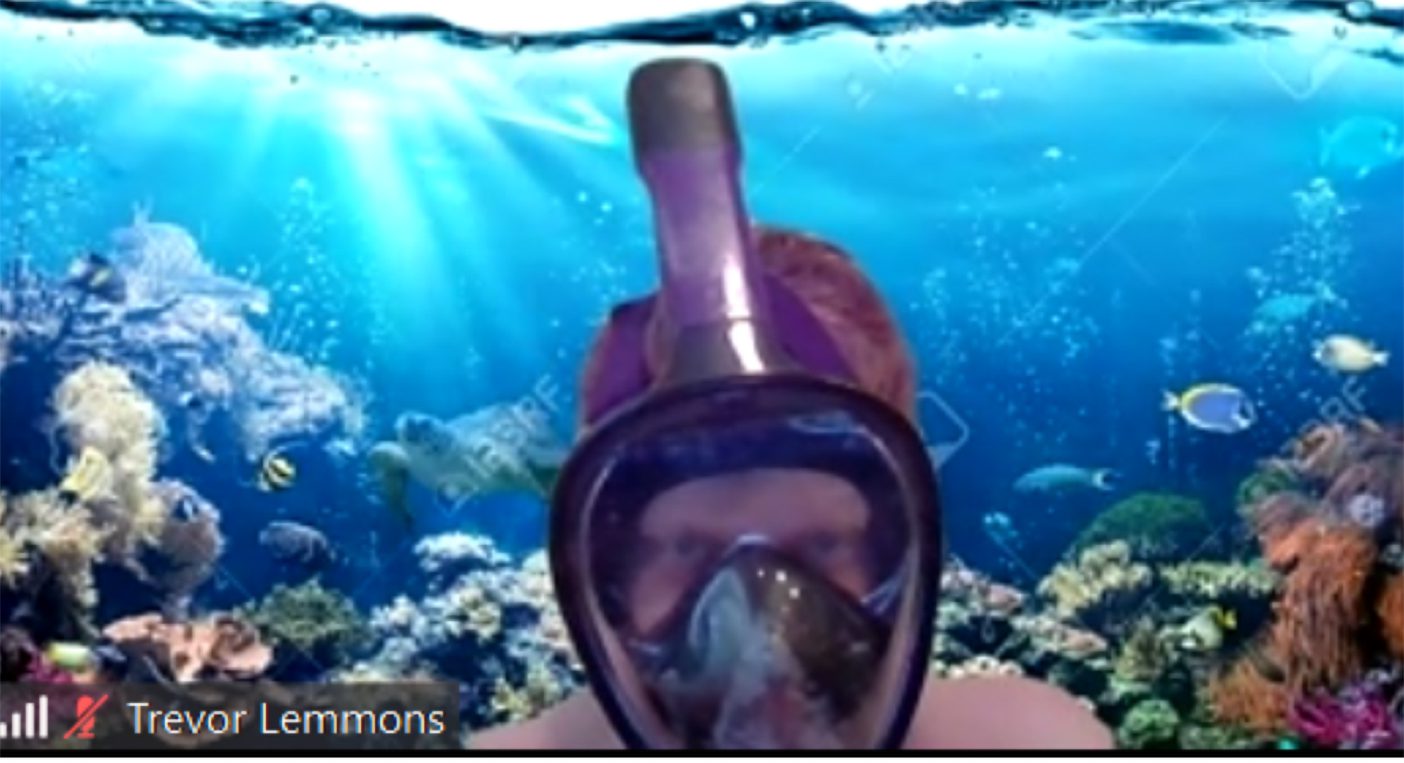 Trevor Lemmons dressed as a snorkeler on a Zoom call.
